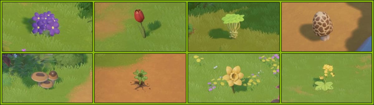 Coral Island Guides - Guide Hub - Starter Guide - Spring Forageables