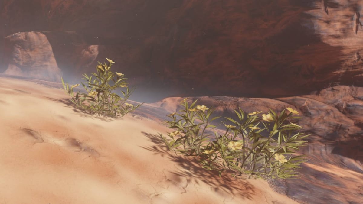 Enshrouded Resources - Desert Flower