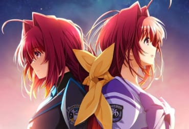 Muv-Luv 20th Odyssey Box Art Crop