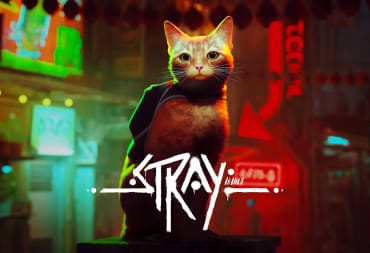 Stray